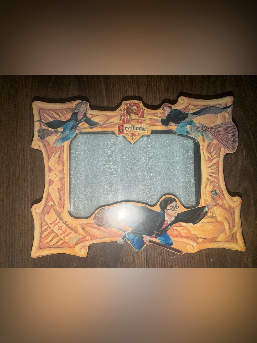 Vintage Y2K 2000 Harry Potter Frame
